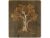 Li-Go „Olivovník“ světelný obraz 70x80cm provedení povrchu: dub B